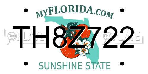 TH8Z722 Florida License Plate