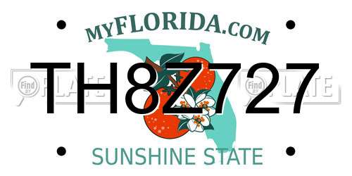 TH8Z727 Florida License Plate