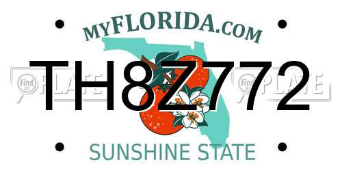 TH8Z772 Florida License Plate