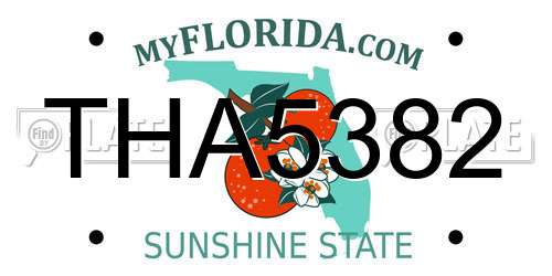 THA5382 Florida License Plate
