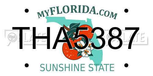 THA5387 Florida License Plate