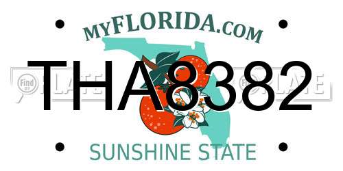 THA8382 Florida License Plate