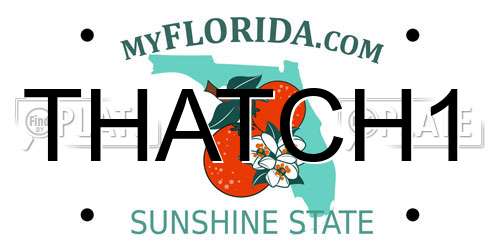THATCH1 Florida License Plate
