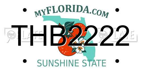 THB2222 Florida License Plate