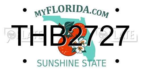 THB2727 Florida License Plate
