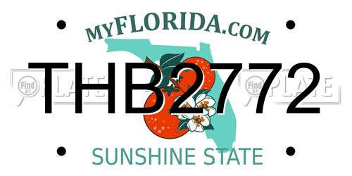 THB2772 Florida License Plate