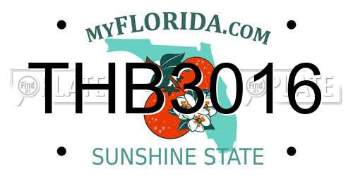 THB3016 Florida License Plate