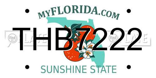 THB7222 Florida License Plate