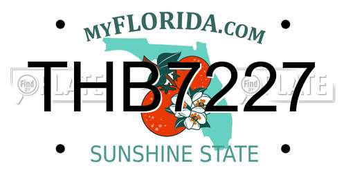 THB7227 Florida License Plate