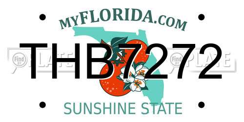THB7272 Florida License Plate