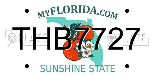 THB7727 Florida License Plate