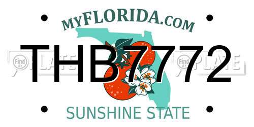 THB7772 Florida License Plate