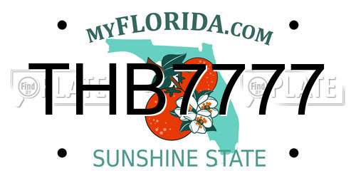 THB7777 Florida License Plate