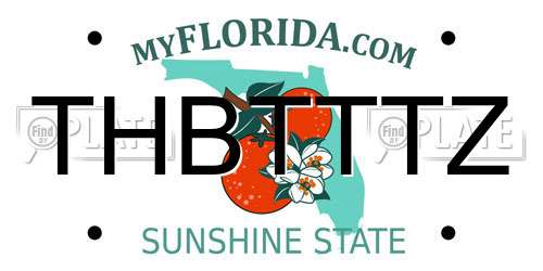 THBTTTZ Florida License Plate
