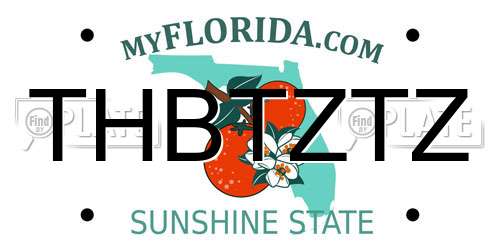 THBTZTZ Florida License Plate