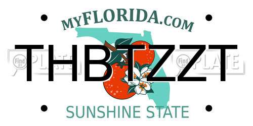 THBTZZT Florida License Plate
