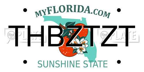 THBZTZT Florida License Plate