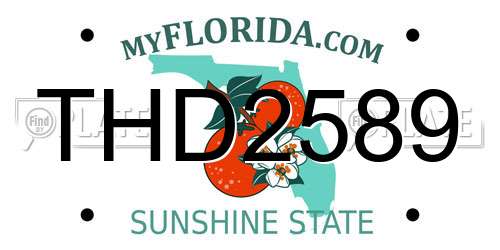 THD2589 Florida License Plate