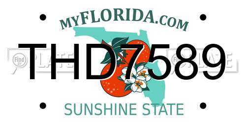 THD7589 Florida License Plate