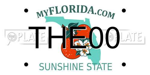THE00 Florida License Plate