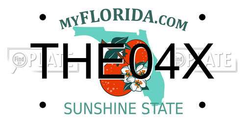 THE04X Florida License Plate