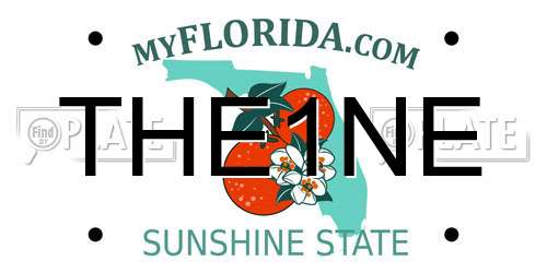 THE1NE Florida License Plate