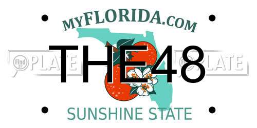 THE48 Florida License Plate