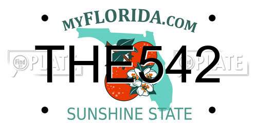 THE542 Florida License Plate