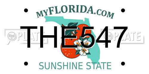 THE547 Florida License Plate