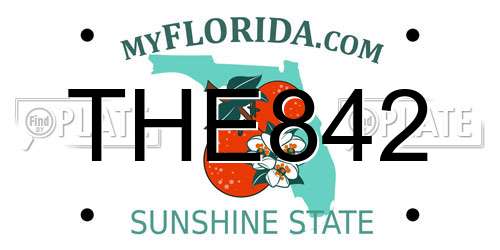 THE842 Florida License Plate