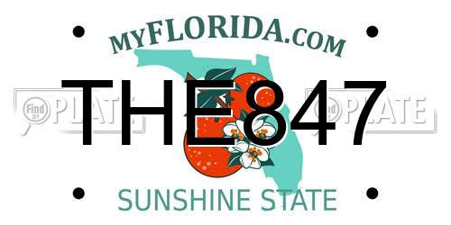 THE847 Florida License Plate