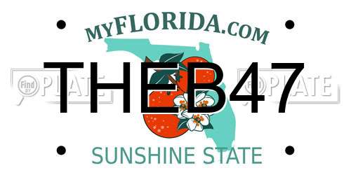 THEB47 Florida License Plate