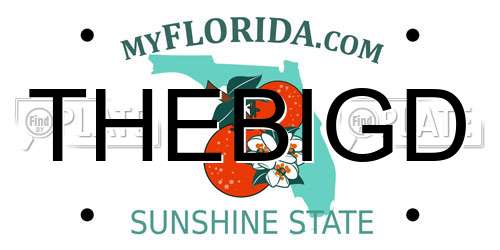 THEBIGD Florida License Plate