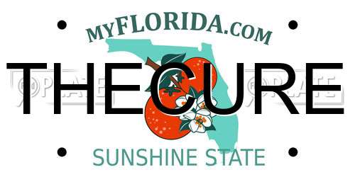 THECURE Florida License Plate