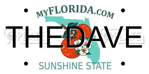 THEDAVE Florida License Plate