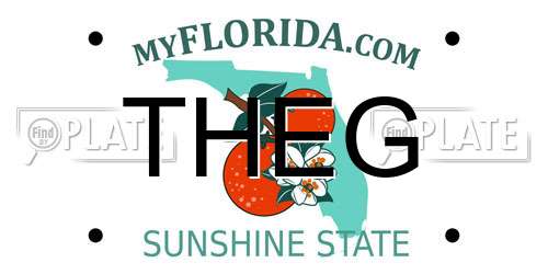 THEG Florida License Plate