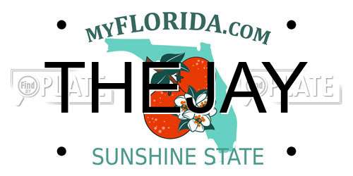 THEJAY Florida License Plate