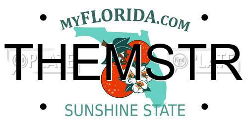 THEMSTR Florida License Plate