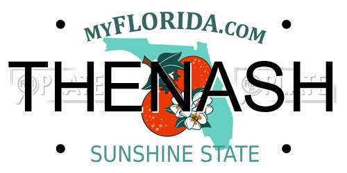 THENASH Florida License Plate
