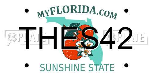 THES42 Florida License Plate