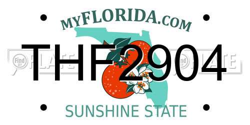 THF2904 Florida License Plate