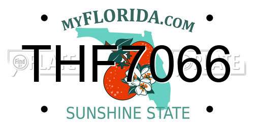 THF7066 Florida License Plate
