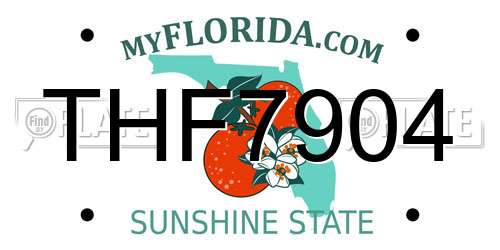 THF7904 Florida License Plate
