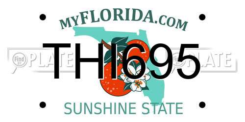 THI695 Florida License Plate