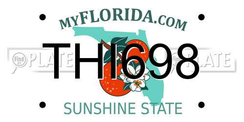 THI698 Florida License Plate