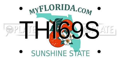 THI69S Florida License Plate