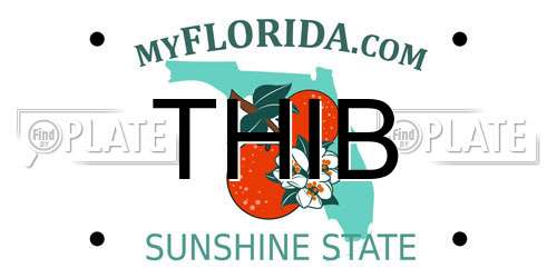 THIB Florida License Plate