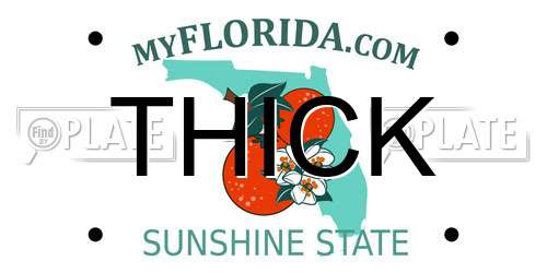 THICK Florida License Plate