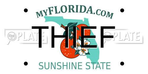THIEF Florida License Plate