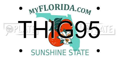 THIG95 Florida License Plate